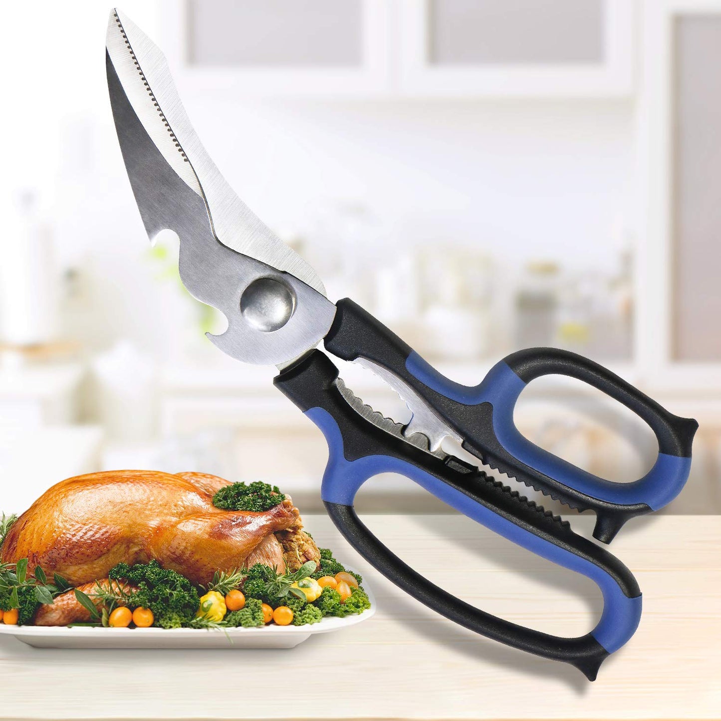 Kitchen Scissors